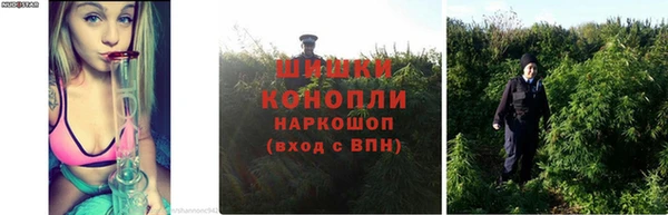 прущая мука Вяземский