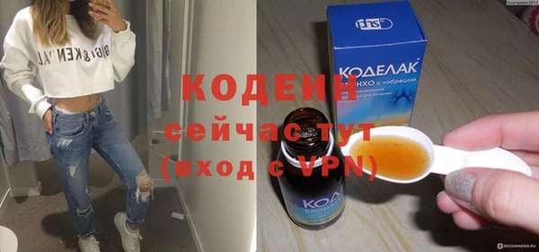 прущая мука Вяземский