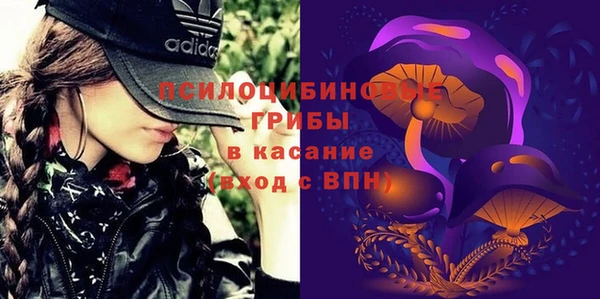 прущая мука Вяземский