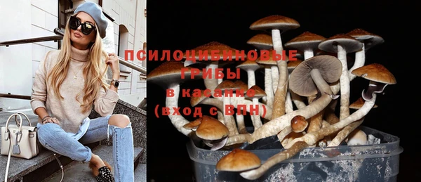 прущая мука Вяземский