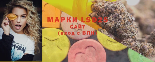 прущая мука Вяземский