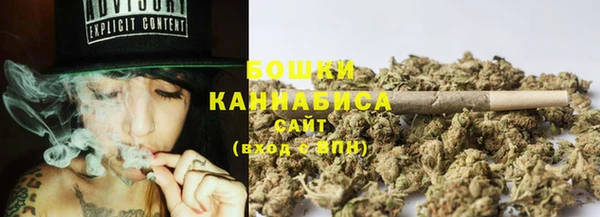 прущая мука Вяземский